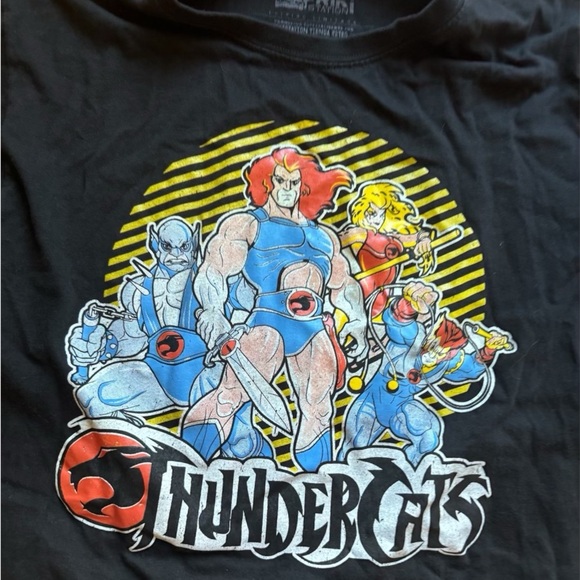 ThunderCats Frikistation Limited Edition T-Shirt Size: L - Picture 4 of 5